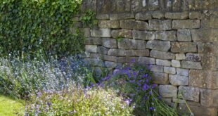 Gartenmauer aufpeppen – unsere Tipps und Tricks